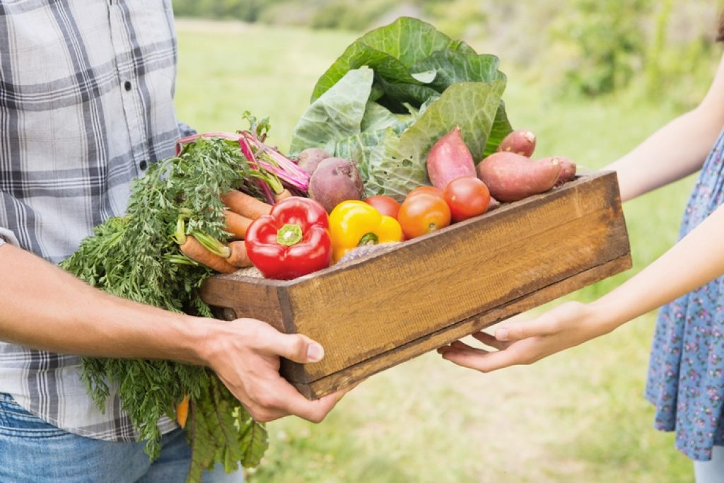 Где купить фермерские овощи?