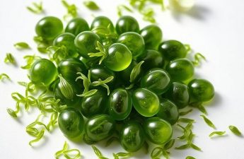 Хлорелла в таблетках: что это, зачем принимать и как не ошибиться при выборе